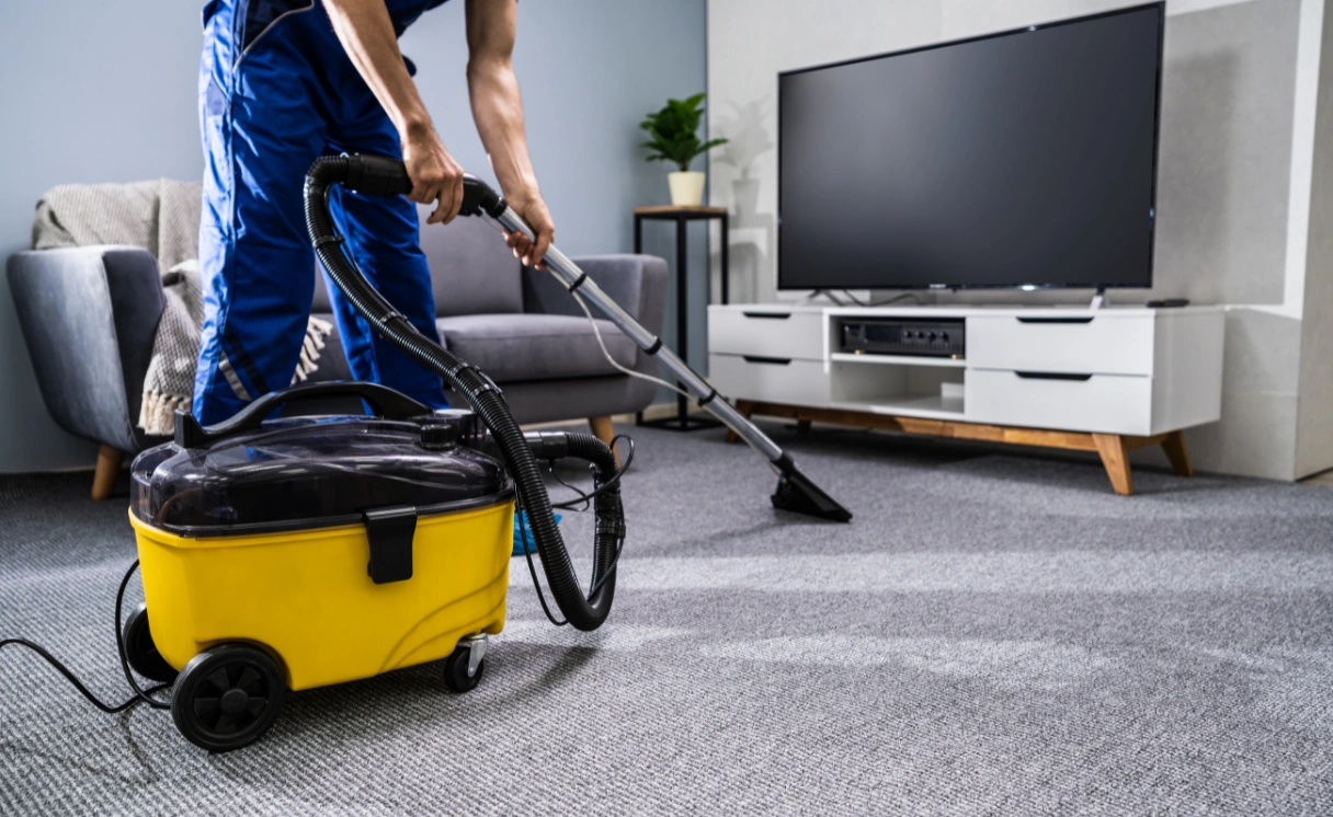Extract Curtain Cleaning Eaglemont Contact Office